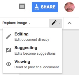 google docs suggesting - Josh Bernoff