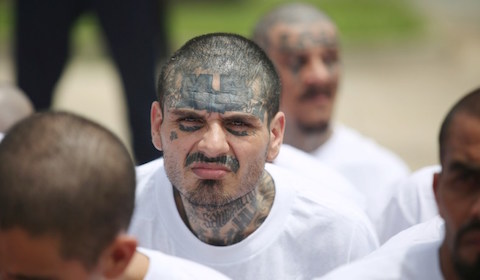 How the White House suckered liberals by calling MS-13 gang members “animals”
