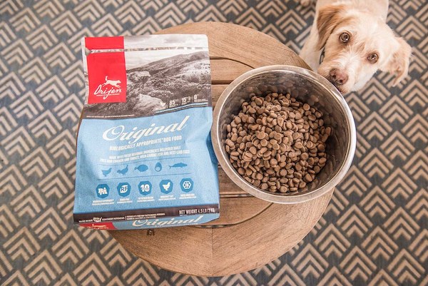 The McGraw-Hill Cengage Learning merger — and the perils of dog food marketing
