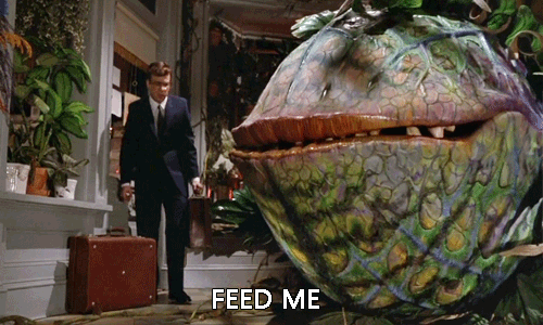 feed_me_little_shop_horrors