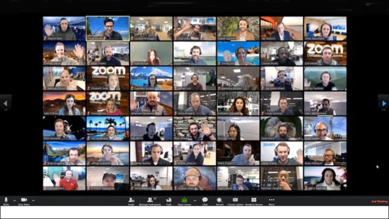 How to run a workshop by videoconference
