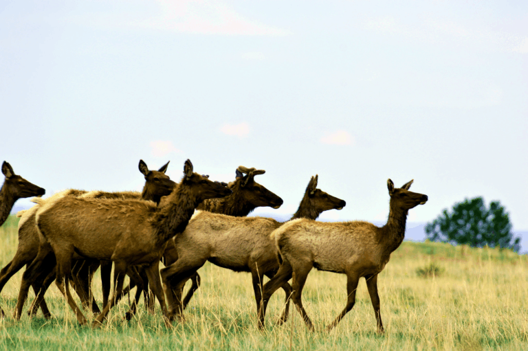 Authors and audience; instant audiobooks; AI elevates thinkers: Newsletter 3 December 2025