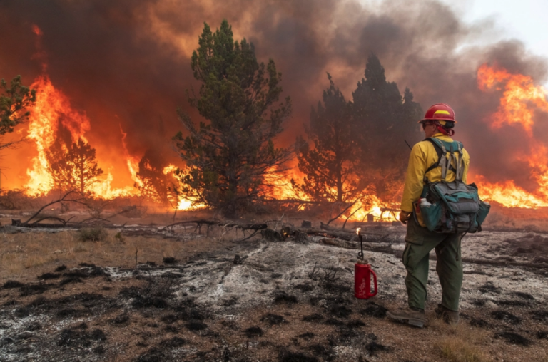 Edge seekers; ghosts outwrite LLMs; Perplexity privacy perfidy: Newsletter 15 April 2026